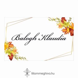 Falevelek ültetőkártya színes levelekkel