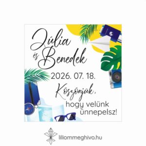 Világjáró esküvői hűtőmágnes élénk színek utazásos grafikák